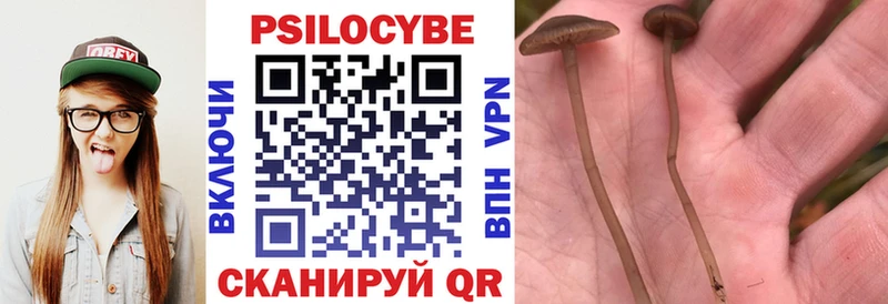 Галлюциногенные грибы Cubensis  Купить закладки  Бежецк 