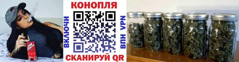 Канабис план  Купить  Бежецк 